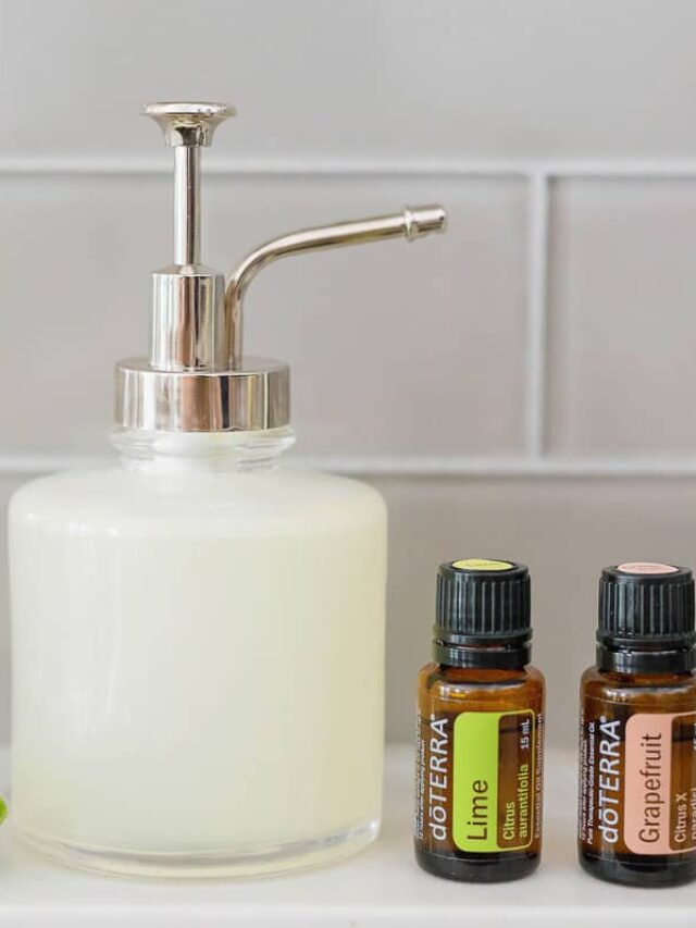 DIY Homemade Liquid Hand Soap