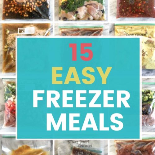 5 Best Reusable Freezer Bags - Happy Money Saver