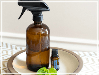 Get Rid Of Spiders For Good With This All Natural Spider Spray Safe Effective Natural Spider Spray