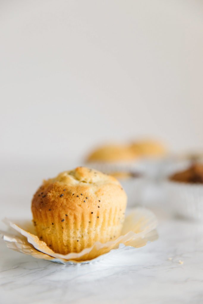 One poppyseed muffin is unwrapped with two wrappers on the counter.  In the background there are bowls of things that are fuzzy.