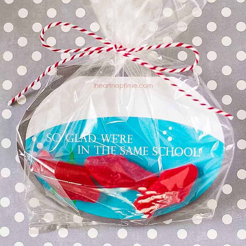 Fish bowl shaped Valentine in a plastic bag with red swedish fish candy and words so glad were in the same school. 