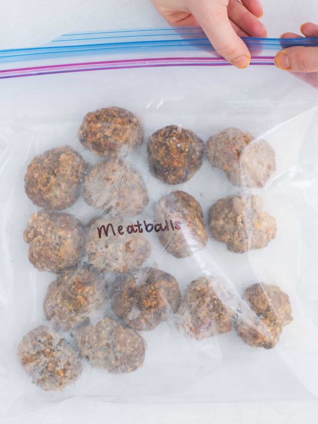 Beginner Tips for Freezer Meals - Happy Money Saver