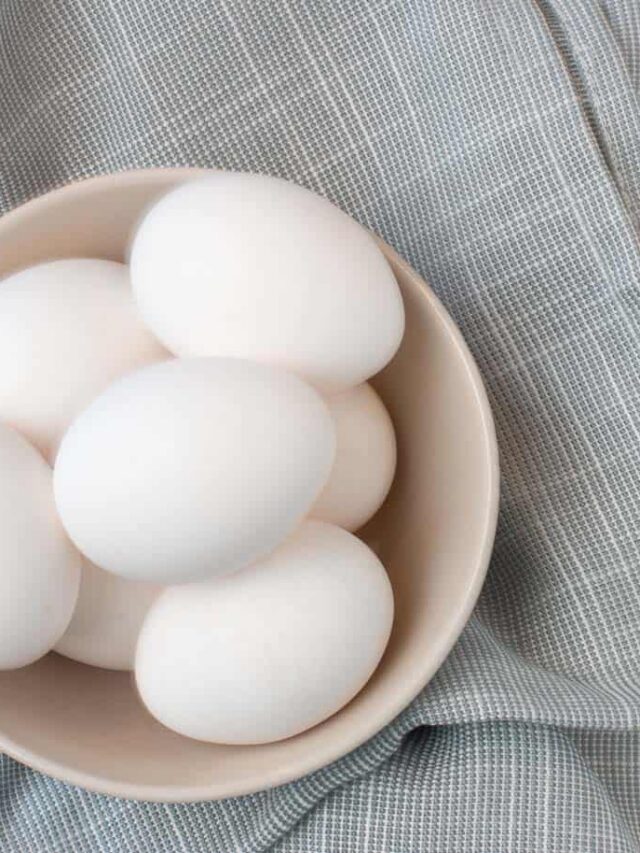Can you freeze eggs yes happy money saver