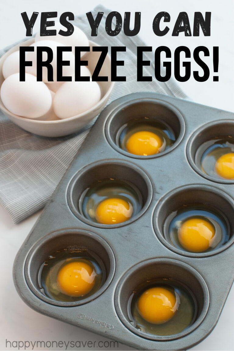 Can you FREEZE EGGS? **YES!** Here is how to Freeze Eggs