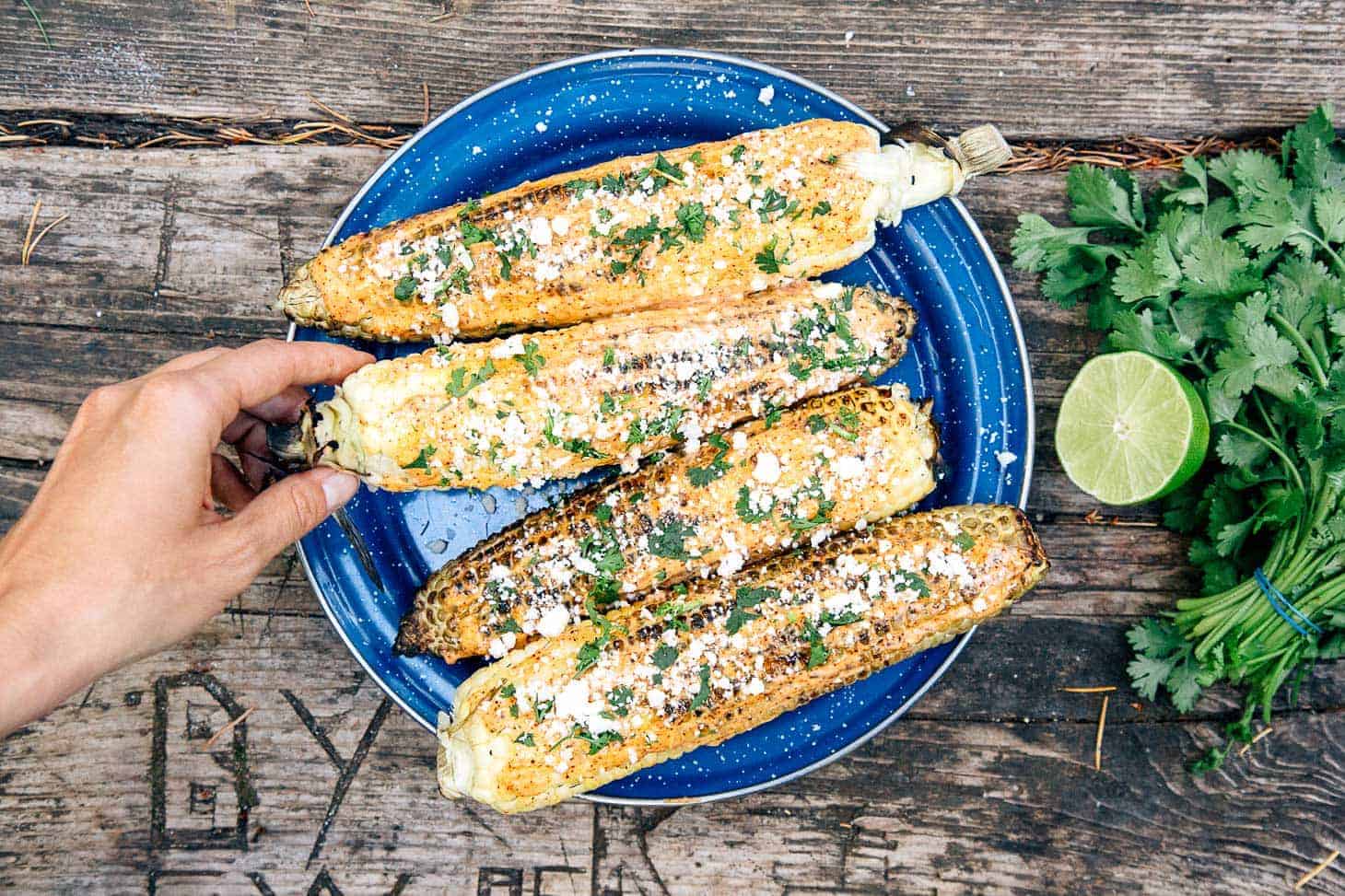 A blue plate with four charred corn on the cob sprinkled with cheese and herbs and one hand reach out and grabbing one. Lime and herbs are on the side.