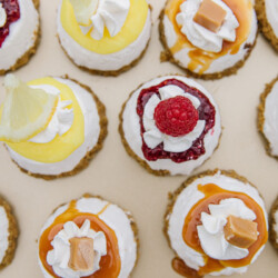 Colorful, flavored mini cheesecakes with different toppings.