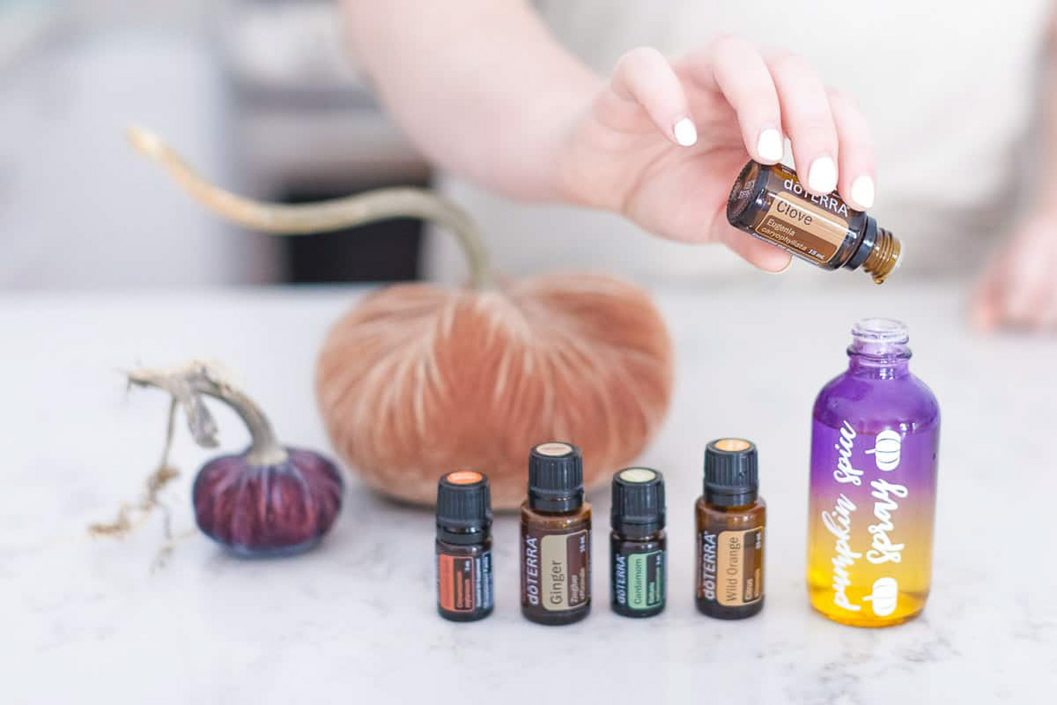 A hand pouring clove essential oil into a labeled bottle with 2 pumpkins and 4 bottles of essential oil on the side.