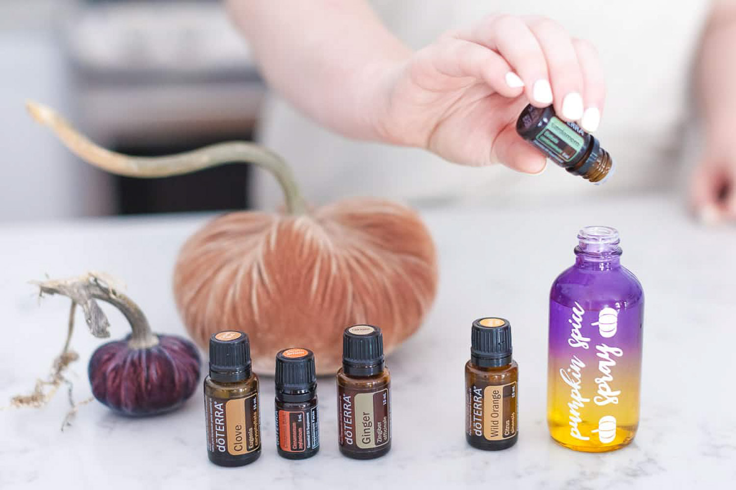 A hand pouring cardamon essential oil into a labeled bottle with 2 pumpkins and 4 bottles of essential oil on the side.