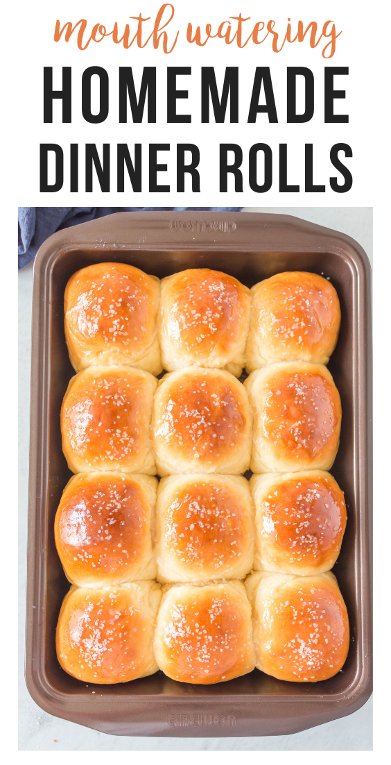 Best Soft Dinner Rolls - Happy Money Saver