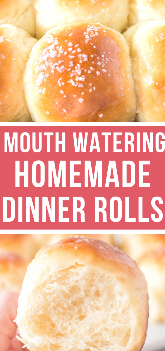 Best Soft Dinner Rolls - Happy Money Saver