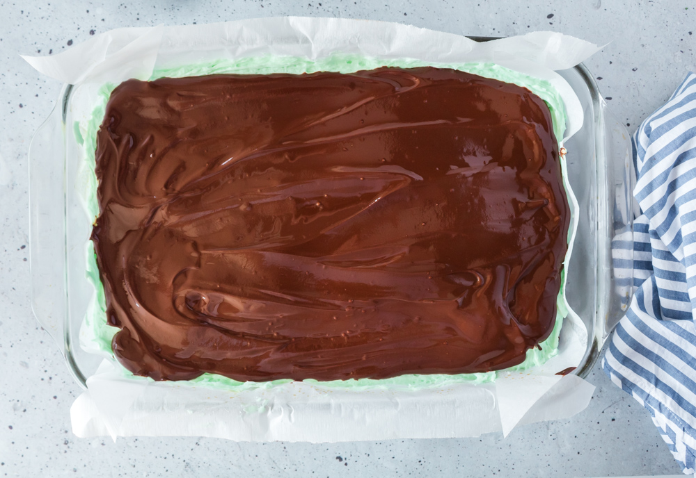 A whole pan of chocolate-covered brownies.