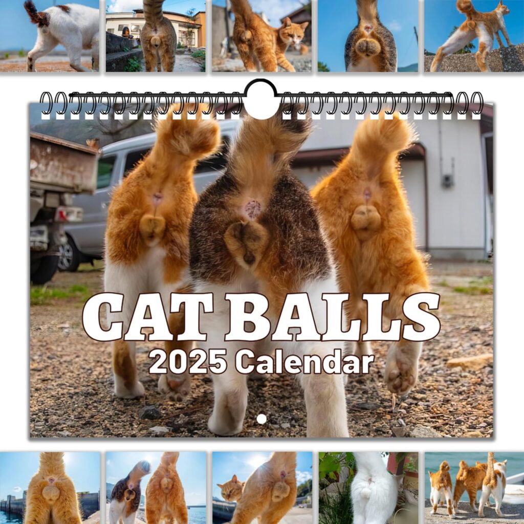 cats balls calendar cover