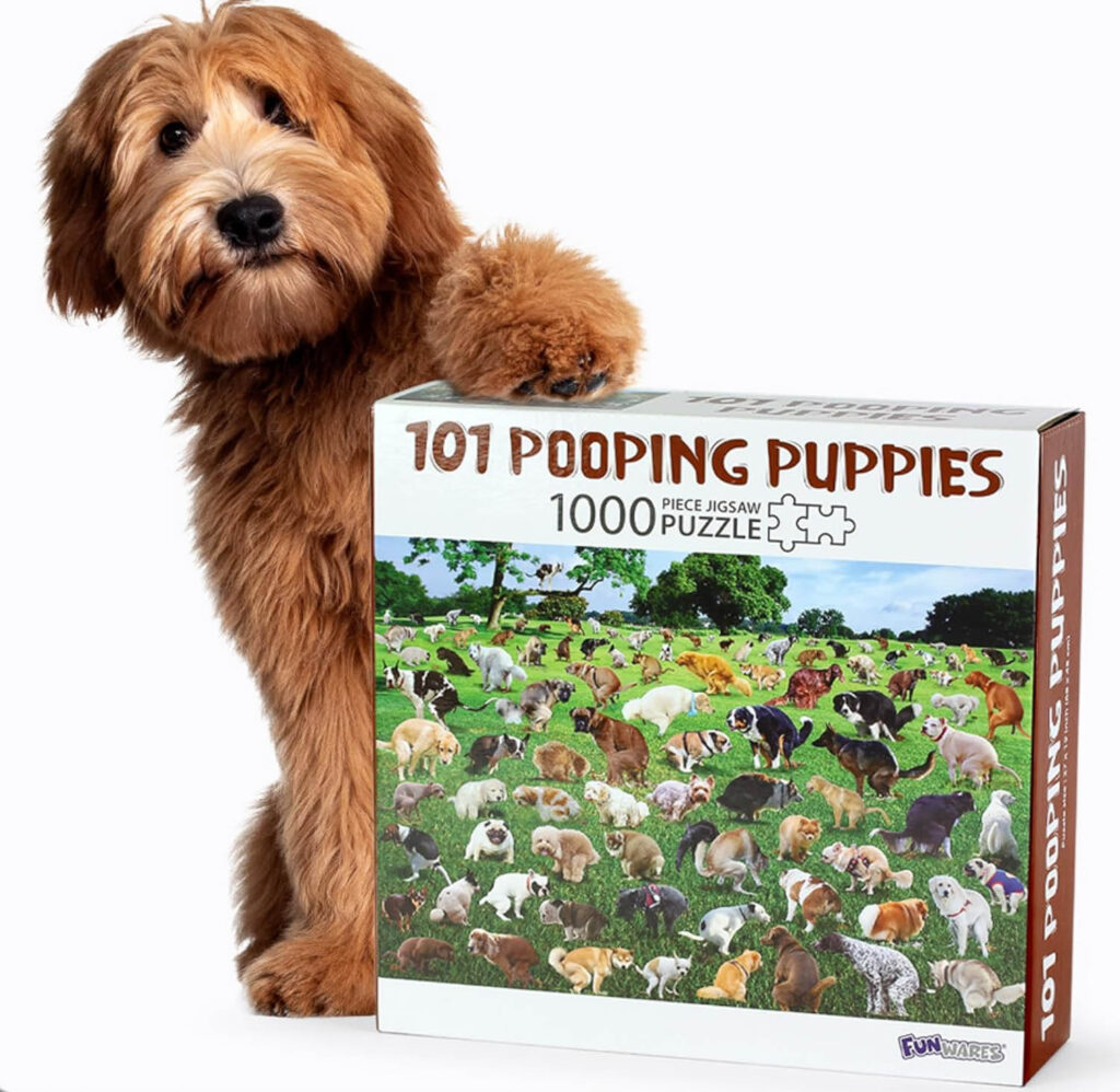 golden puppy with puzzle box of 101 pooping puppies