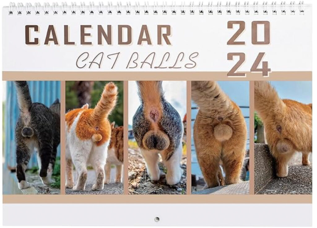 2024 cat balls calendar